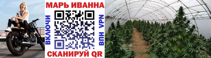 Бошки Шишки план  продажа наркотиков  Псков 
